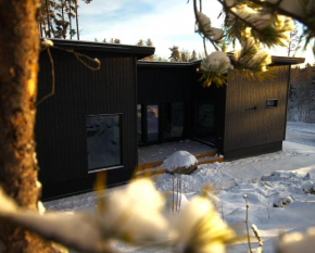 Villa Blackwood in Sipoo